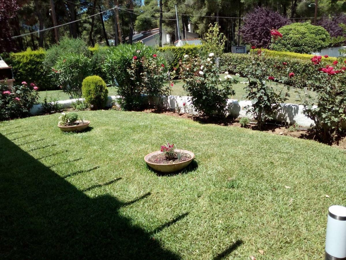 Sani Residence Villa Dış mekan fotoğraf